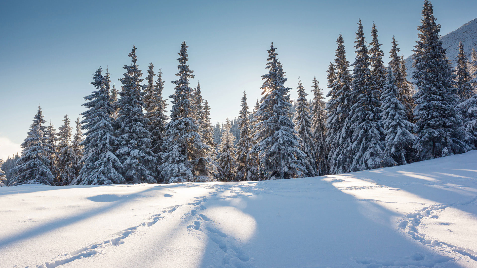 一束山林暖阳，穿透白雪初霁